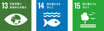 icon13,14,15