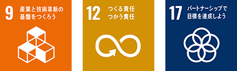 icon9,12,17